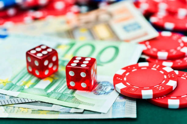 dingdongtogel customer support interface and account settings